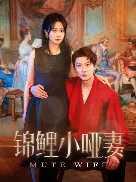 锦鲤小哑妻 海报