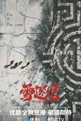 《雪迷宫》：一场人性的冰雪试炼，真相与道德的残酷抉择！