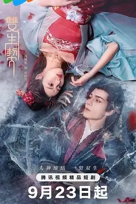 《双生契》：一段跨越时空的宿命纠缠，双生灵魂的爱恨情仇终极考验