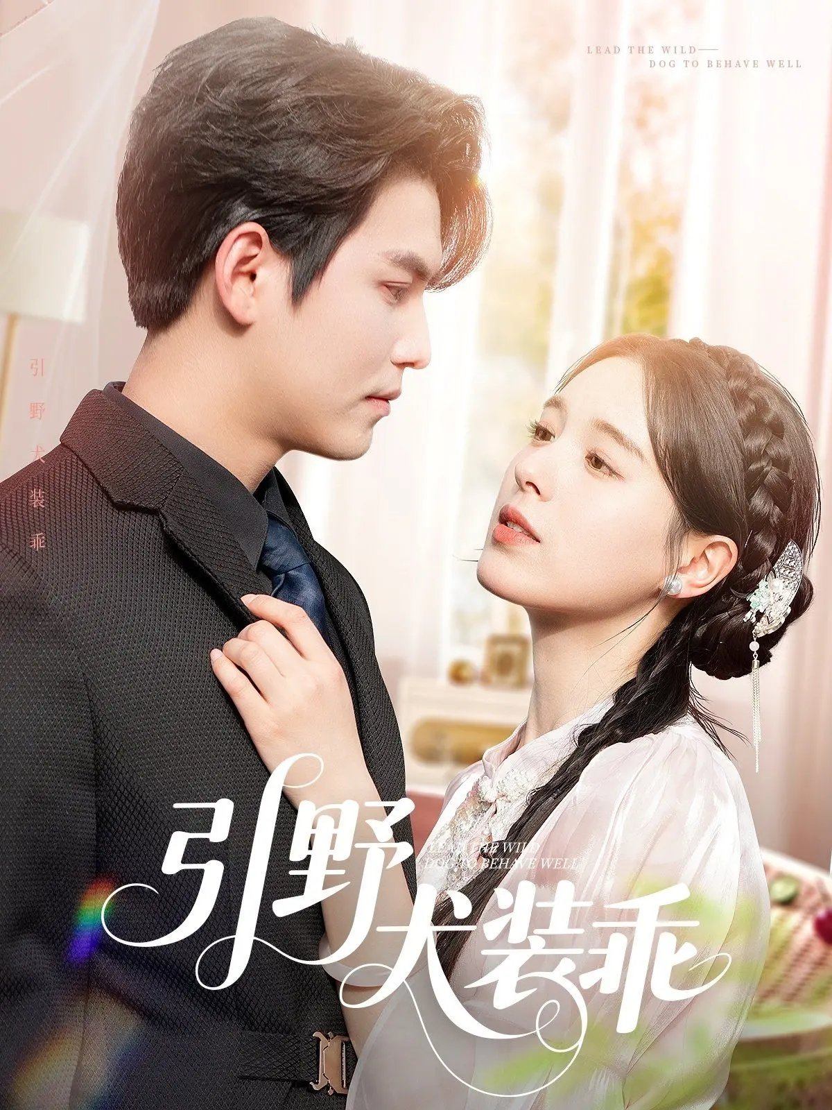 《引野犬装乖》：一只被生活逼疯的都市野犬，蜕变生存的辛酸喜剧！