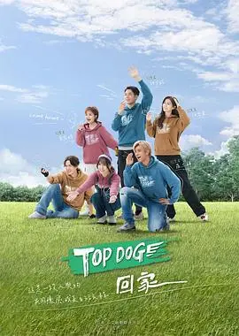 《TOP DOG》：这片儿简直是格局打开！国产黑马横空出世，剧情炸裂让人直呼过瘾！
